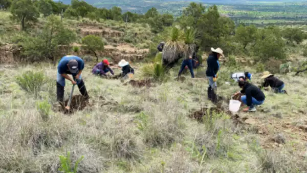 Varias personas se encuentran en un campo mientras realizan tareas del proyecto de restauración de Llanos de Apan, de Mercado Libre.