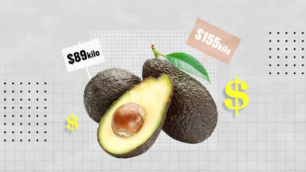 precio del aguacate