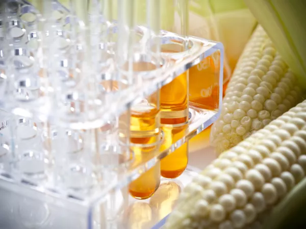 Productos orgánicos