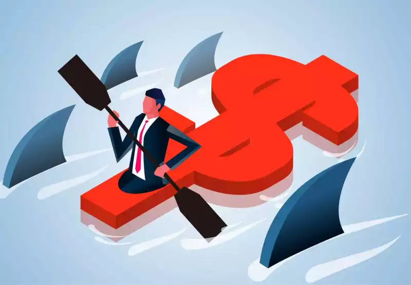 A nadar con tiburones