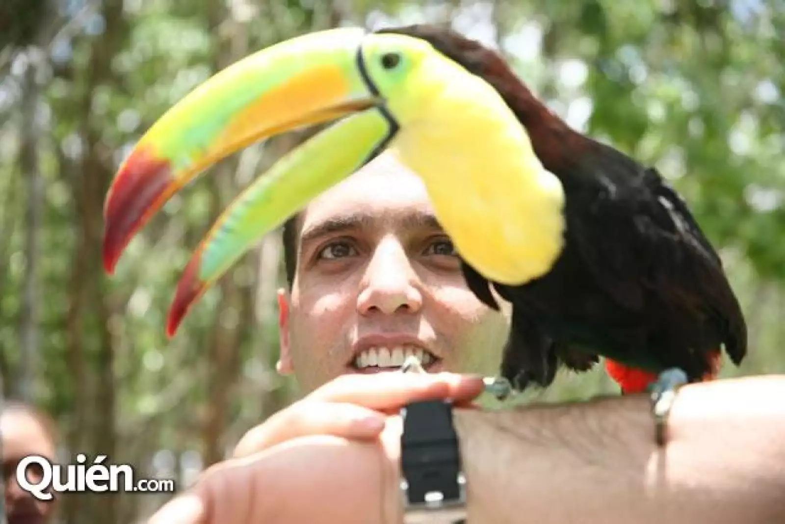 Jorge Emilio González en Cancún observa un tucán