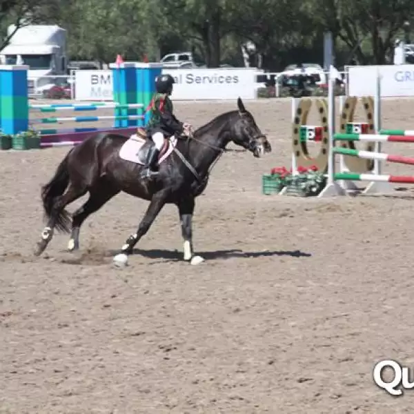 Circuito Mexicano 2010