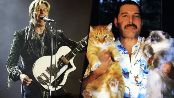 famosos inspirados por gatos