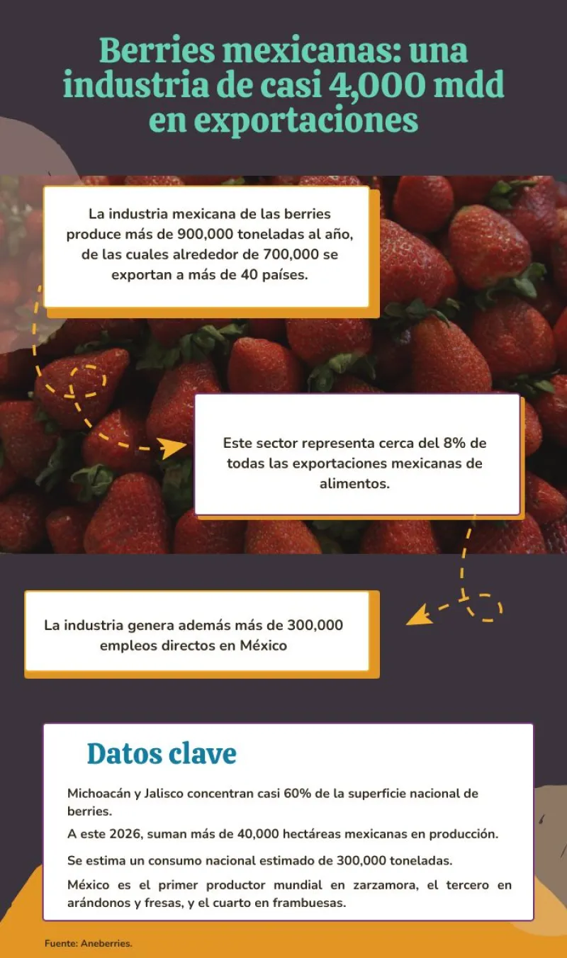 berries mexico.jpg