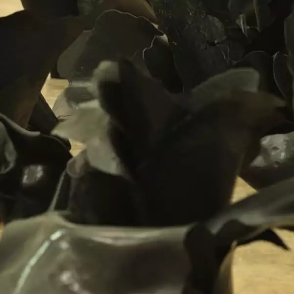 Galería Luis Adelantado