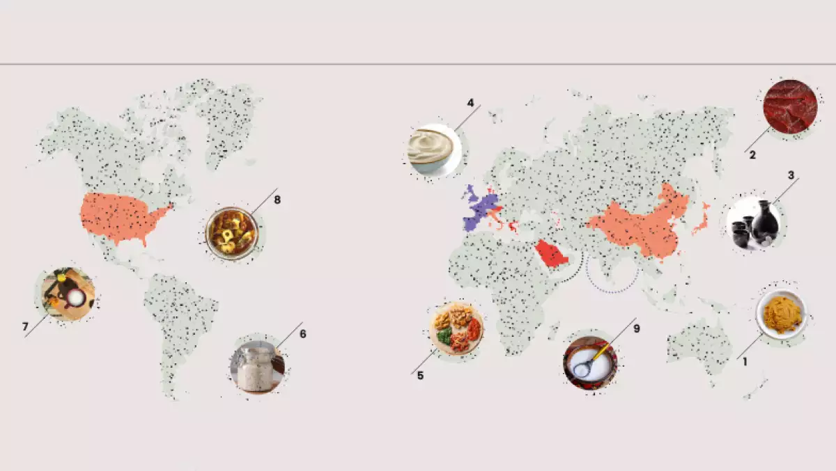 almentos fermentados más consumidos en el mundo