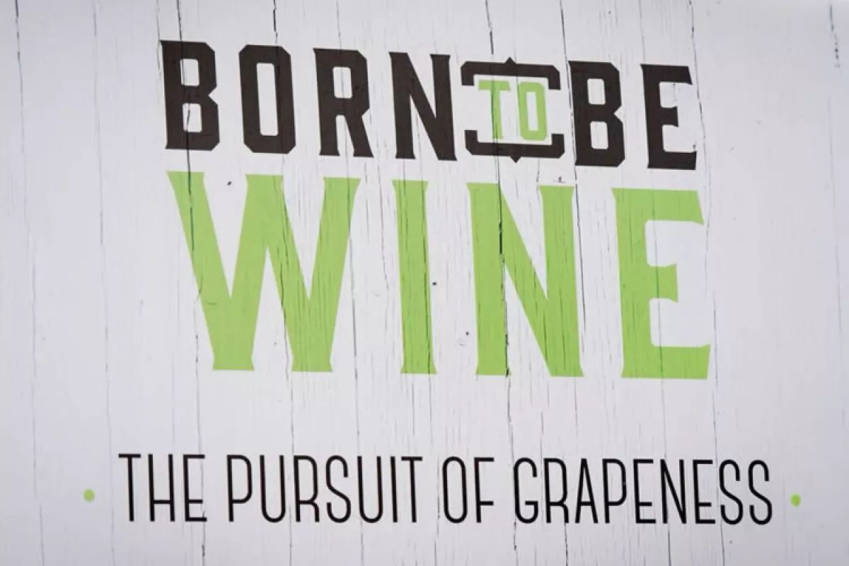 Born to Be Wine