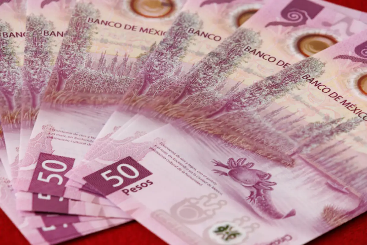 ¿Tienes uno guardado? Los mexicanos coleccionan 12.5 mdp en billetes del ajolote