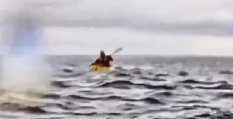 ballena-se-traga-hombre-en-kayak