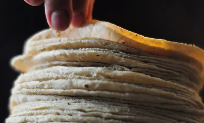 (Fotografía de tortillas)