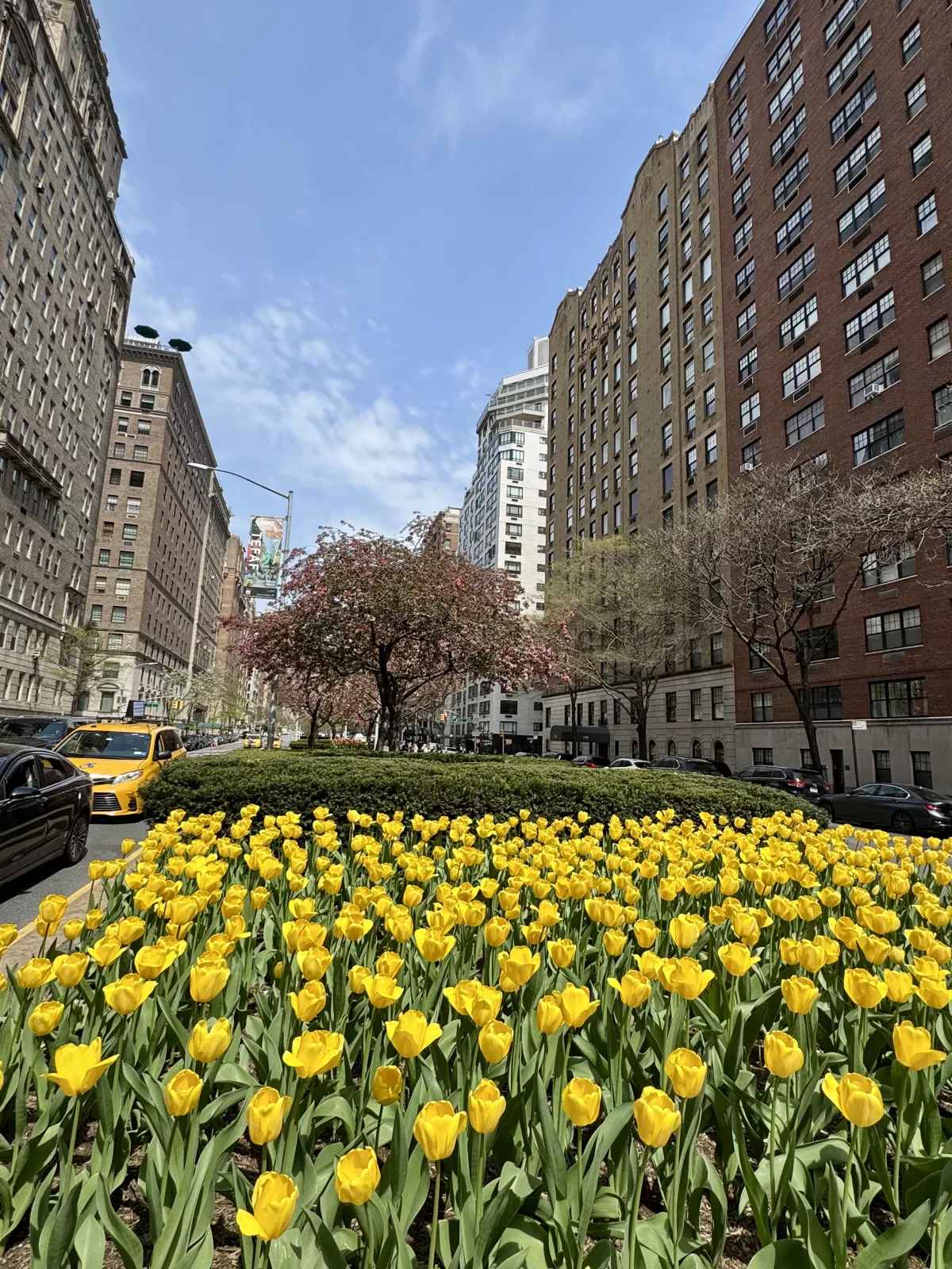 park-avenue.jpeg