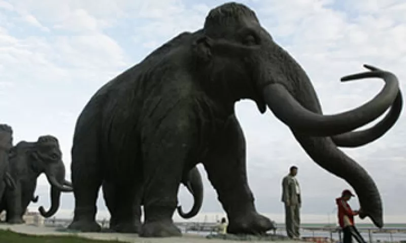 El Mammuthus primigenius de Siberia se remonta al periodo paleolítico medio. (Foto: AP)