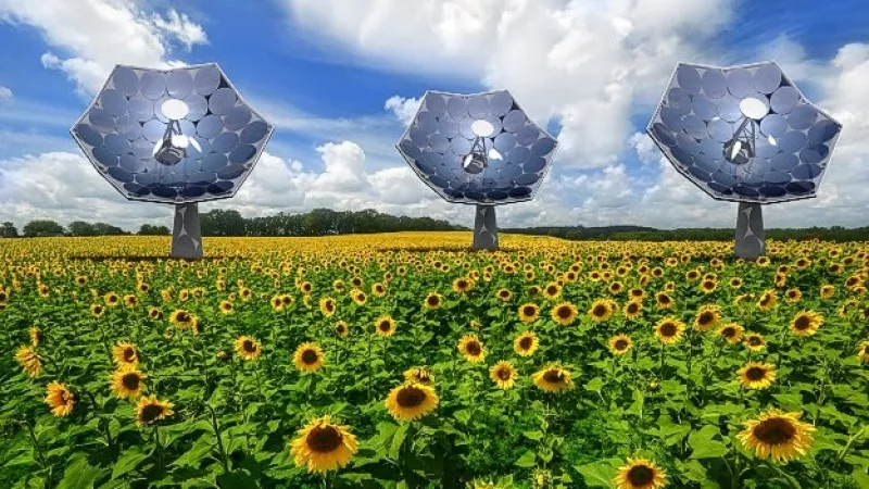 girasoles solares paneles