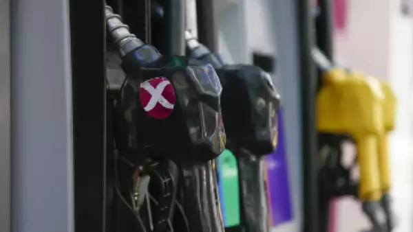 Combustible vs comestibles