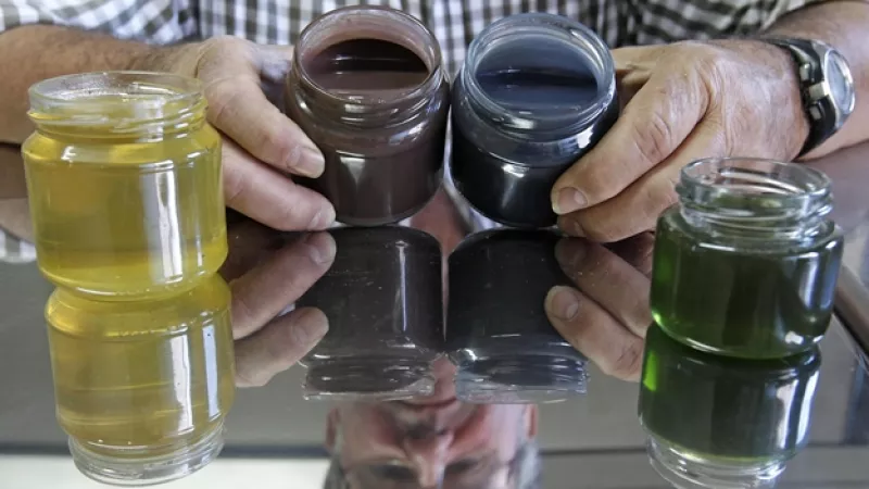 miel, colores, francia