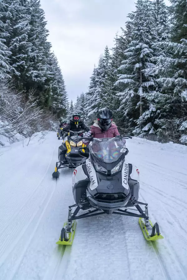 DSC02934                                                                              .jpg