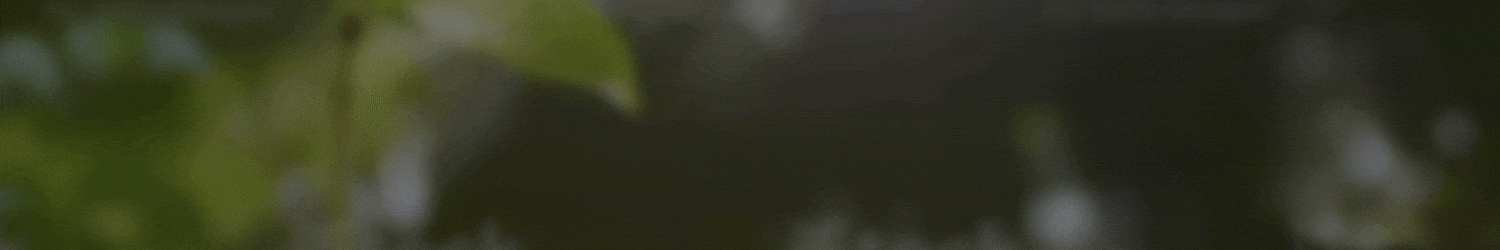 salvemos al planeta.gif