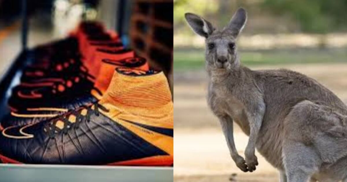 Nike usa piel de canguro clearance