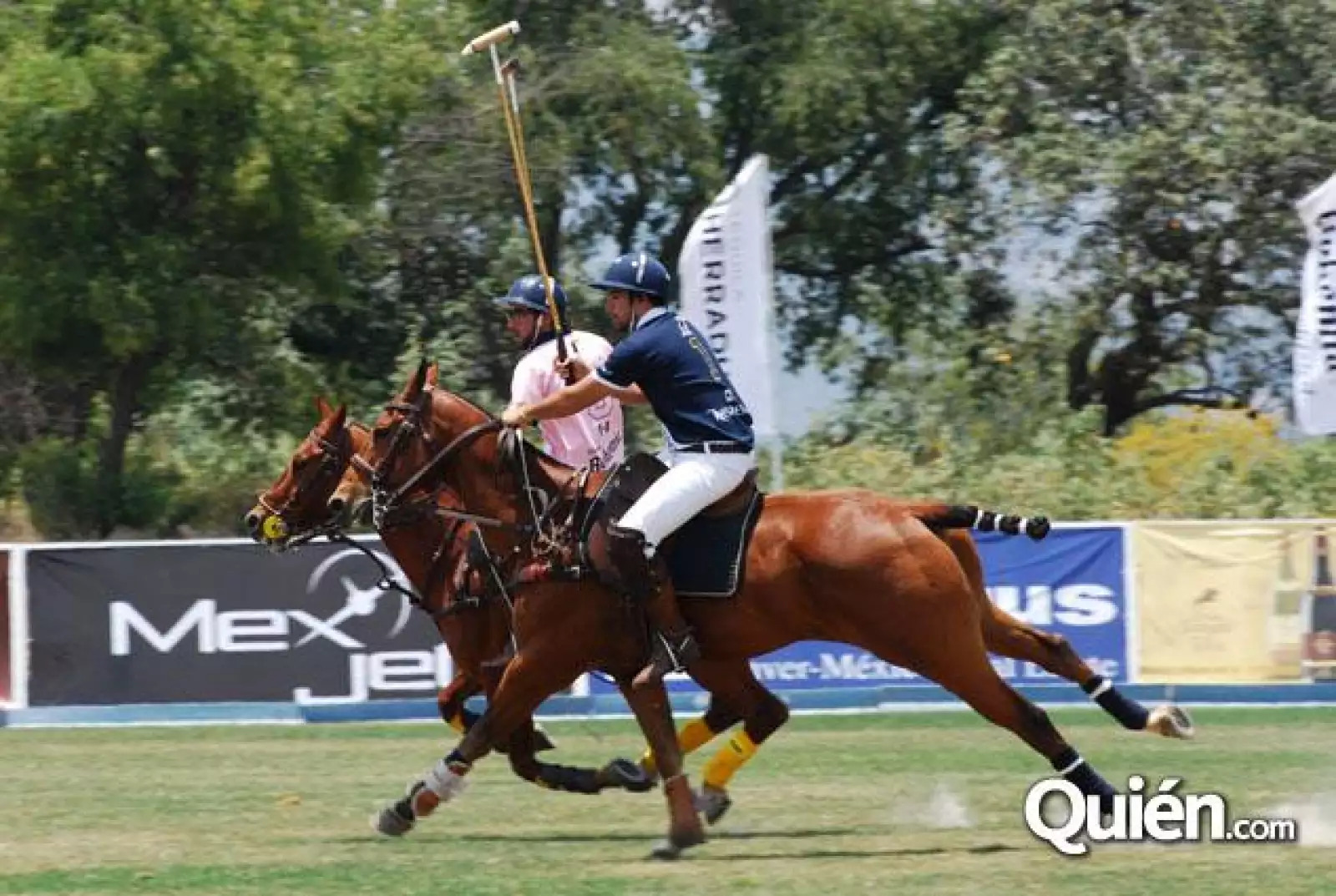 COPA DE POLO AMEYALCO