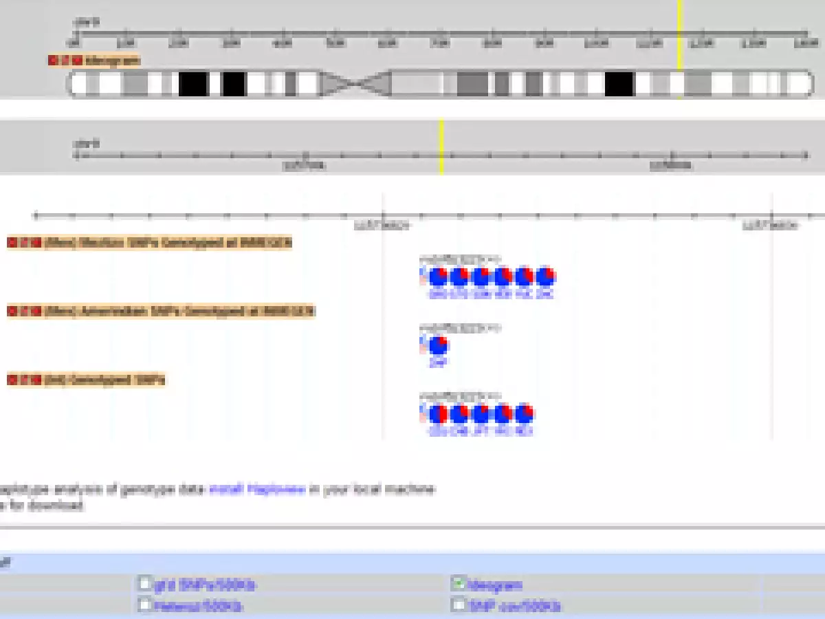 El mapa revela que los mexicanos comparten 64% de haplotipos con los africanos, 74% con los asiáticos y 80% con poblaciones del norte de Europa. (Foto: http://diversity.inmegen.gob.mx)