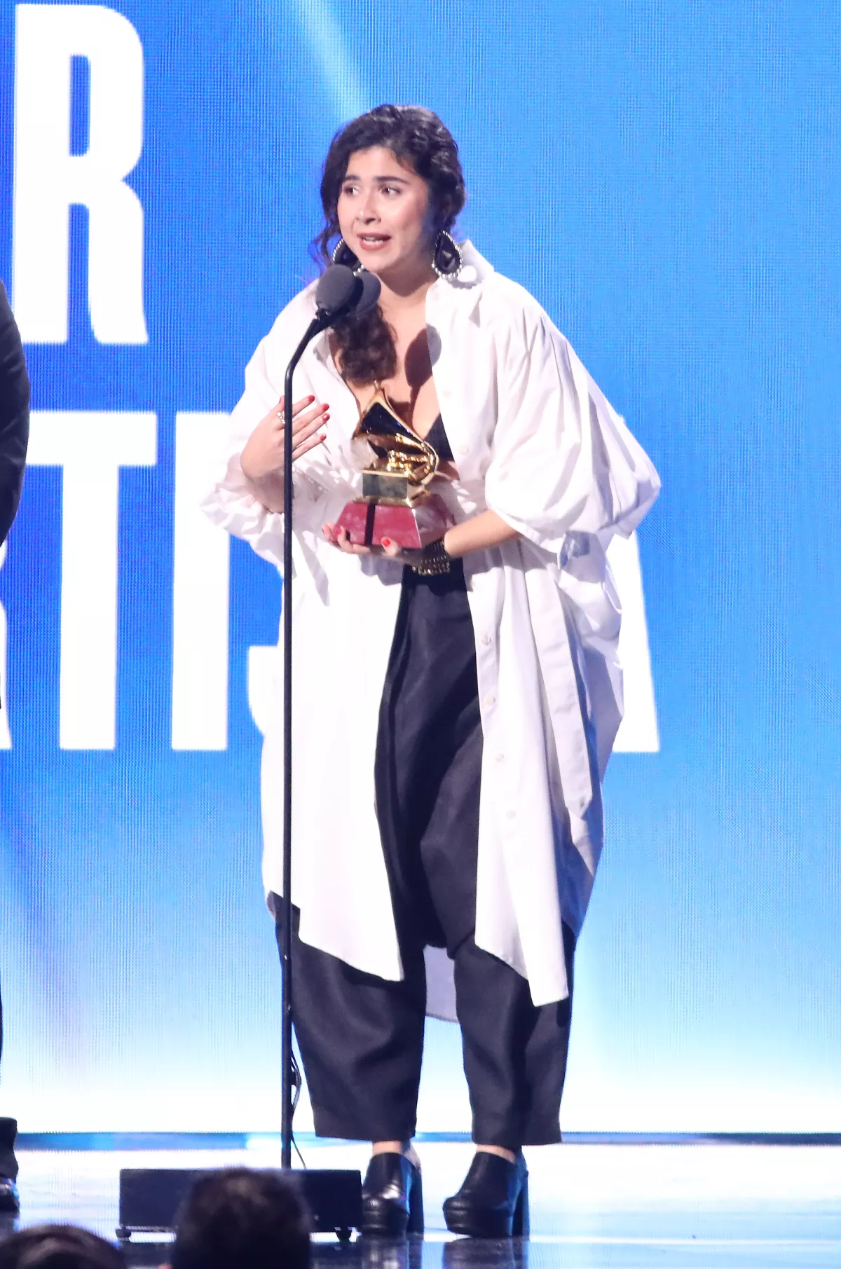 23rd Annual Latin GRAMMY Awards - Show