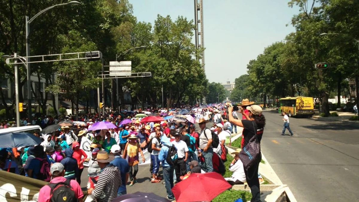 CNTE6