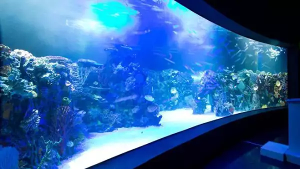 Acuario Inbursa