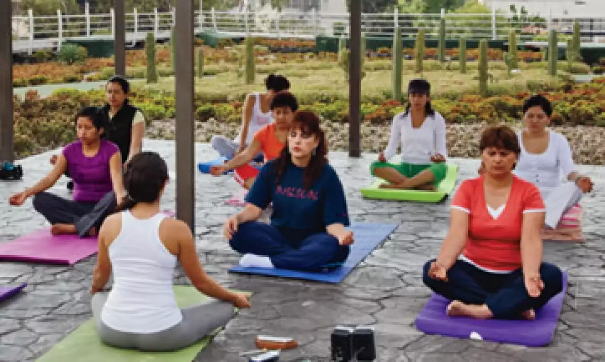 La azotea del Infonavit es un jardín con pista para corredores, espacio de yoga, hortalizas y un riachuelo. (Foto: Agustín Garza)