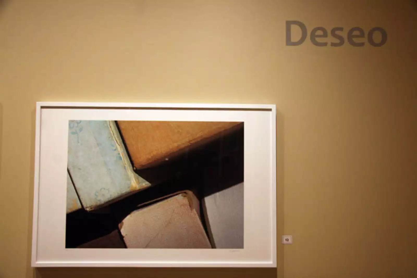 Exposición Carla Aparicio.