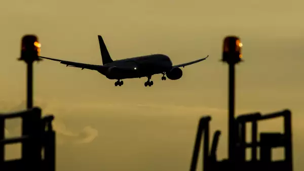 Vuelo conjunto