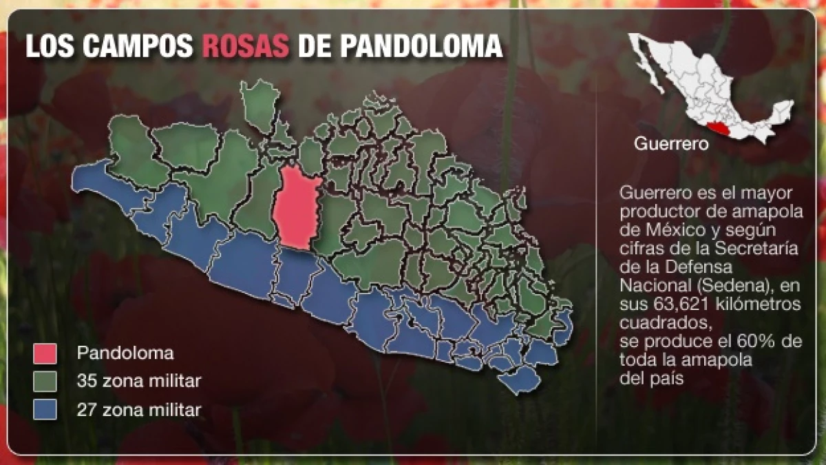 Pandoloma3