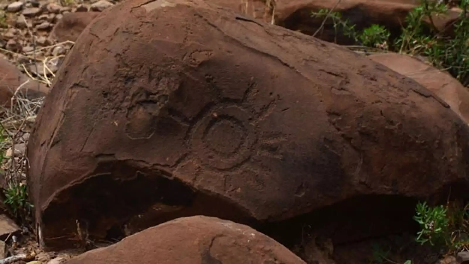 arqueologia, mexico, coahuila, narigua, petrograbados