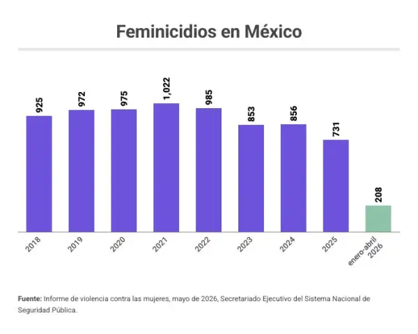 feminicidios.jpg
