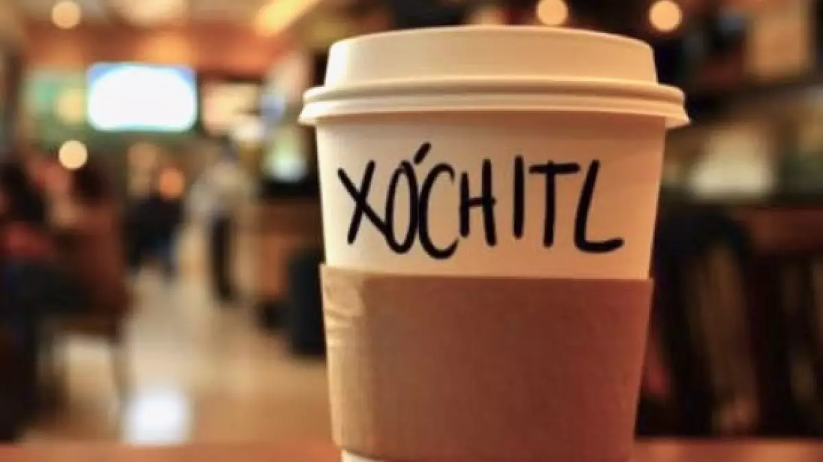 xochitl galvez starbucks