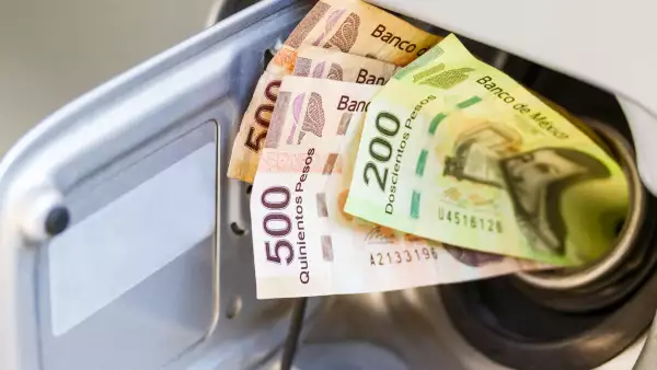 Estímulos al IEPS contarán 2% del PIB