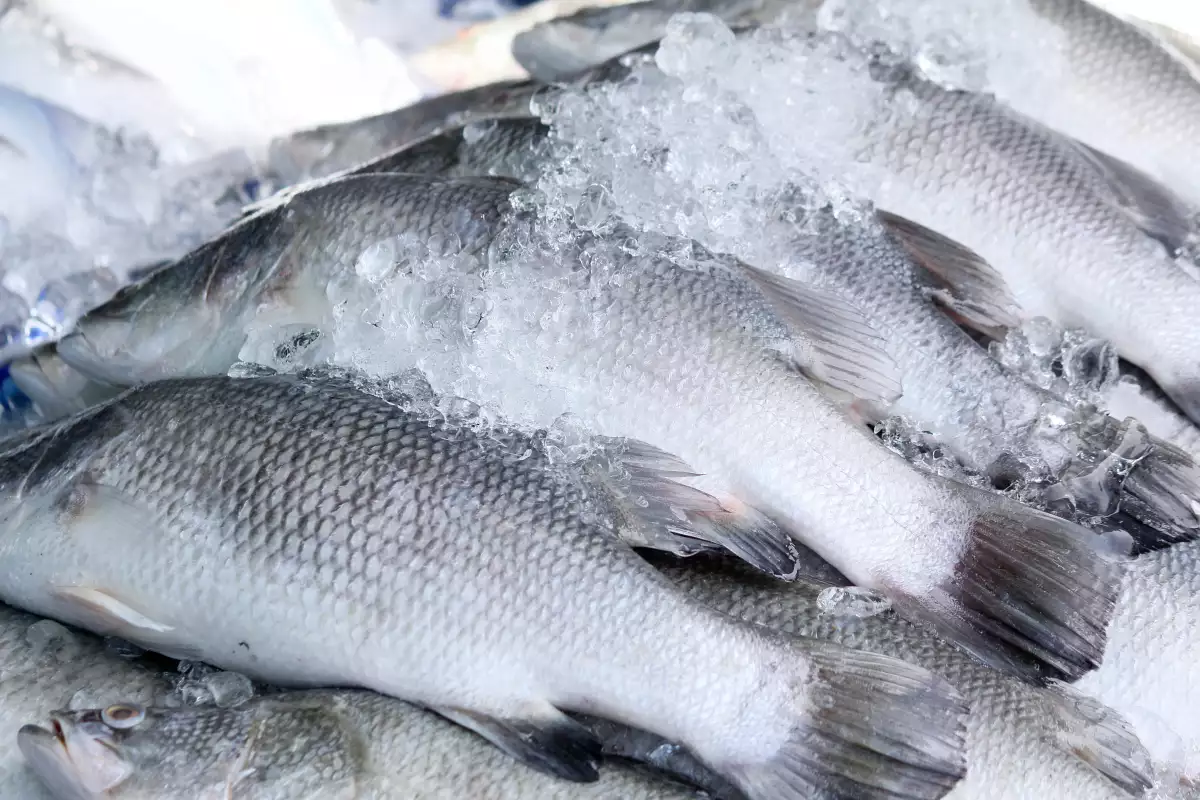 Más pesca sustentable, por favor.