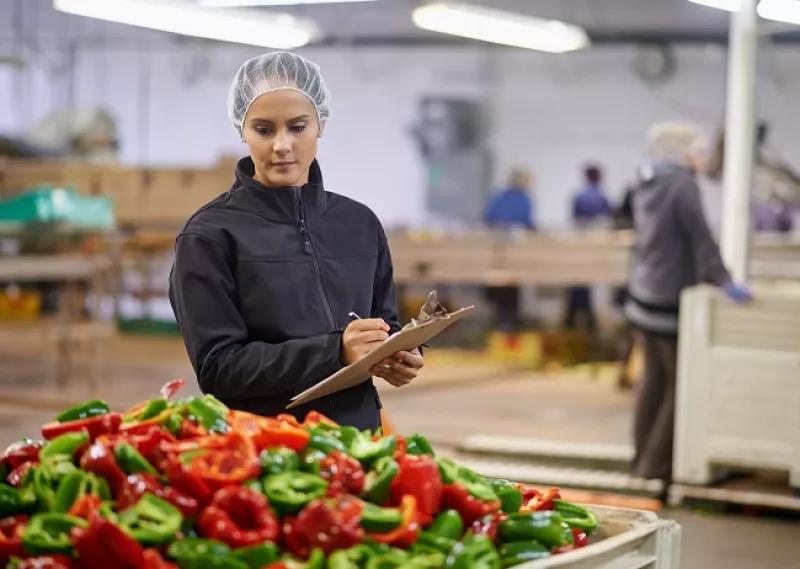 industria alimenticia