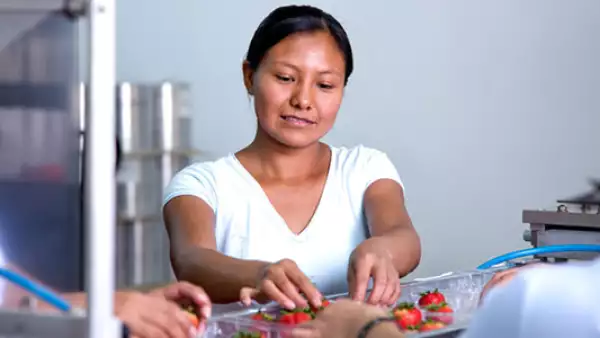 A la alza las pymes de migrantes