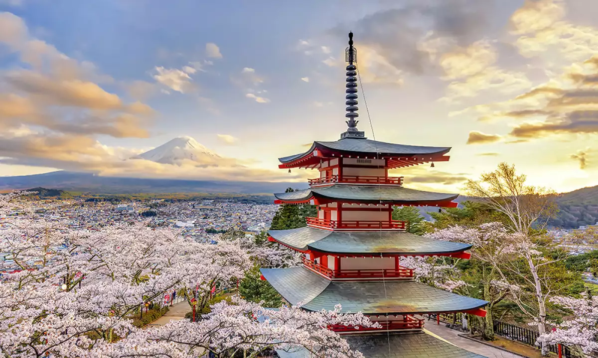 Japón