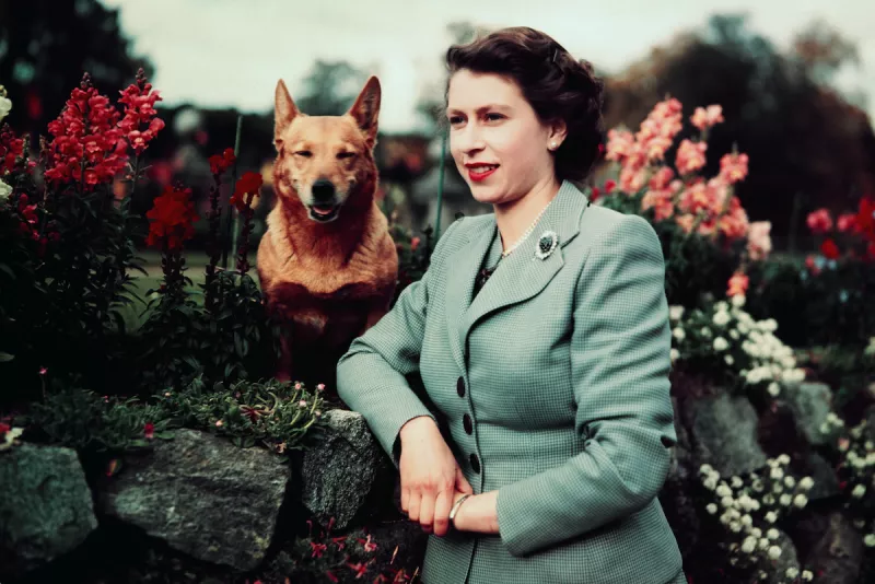 Queen Elizabeth in Garden with Dog