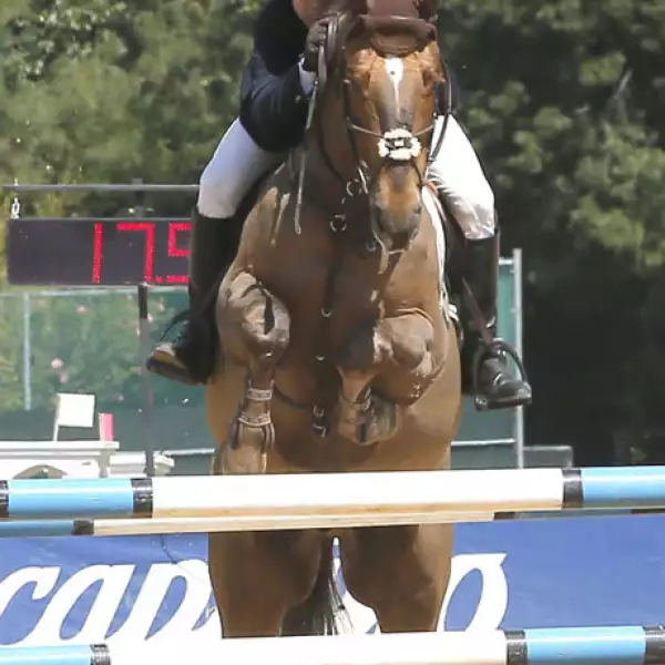 José Antonio Chedraui