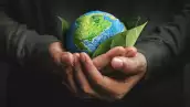 Las variables fundamentales de una estrategia comercial