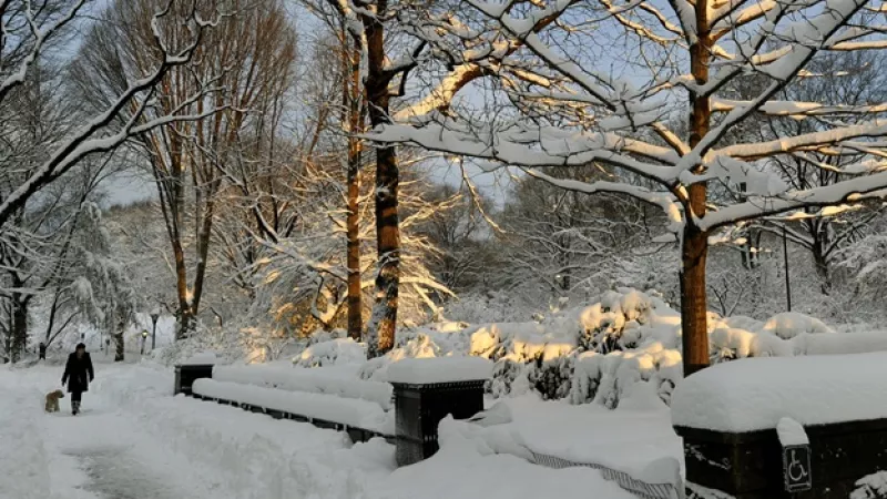 nueva york new york bench