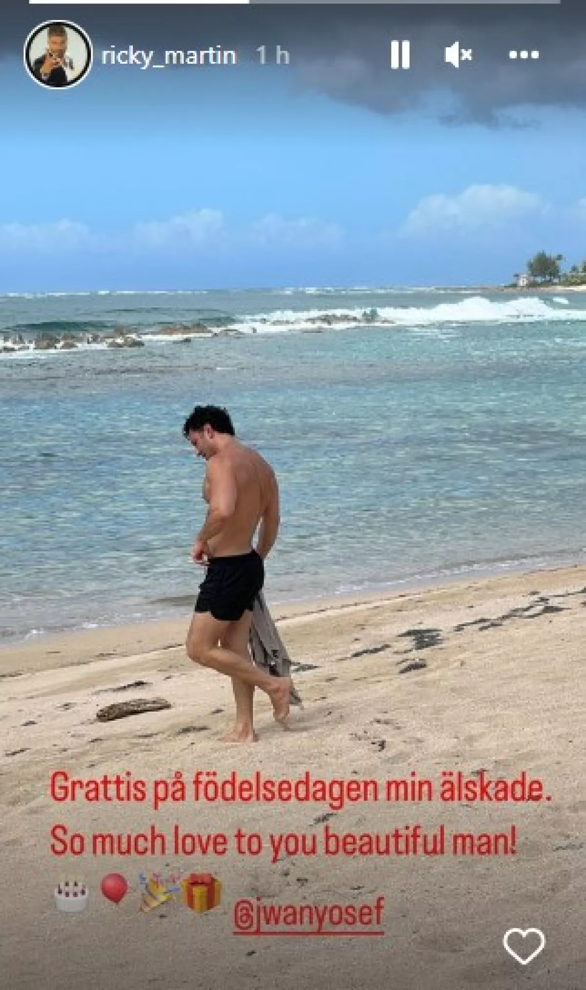 ricky-martin-esposo
