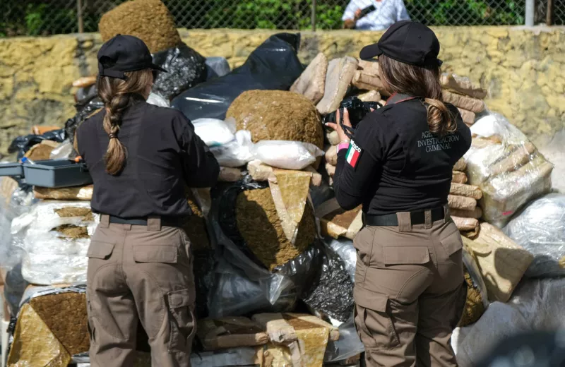 El Ejército mexicano incineró este jueves en Cancún más de 200 kilos de narcóticos incautados en los últimos meses en Quintana Roo.