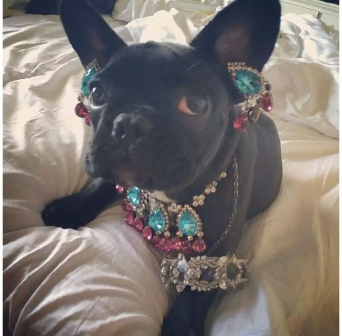 Asia es uno de los grandes amores de Lady Gaga y luce atuendos tan exóticos como la cantante.