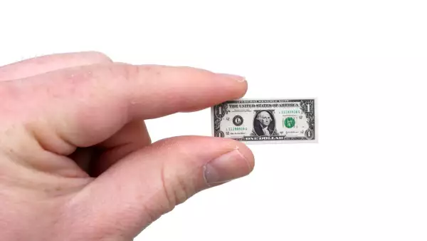 One Small Dollar