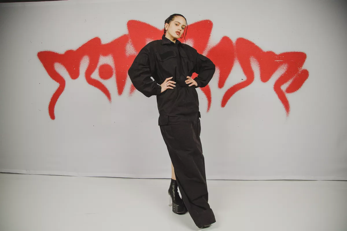 Rosalia_Motomami_124.jpg