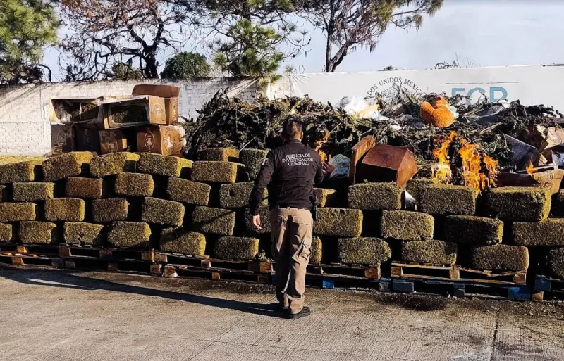 México está al nivel de Siria en la producción de drogas a nivel mundial, revela la ONU