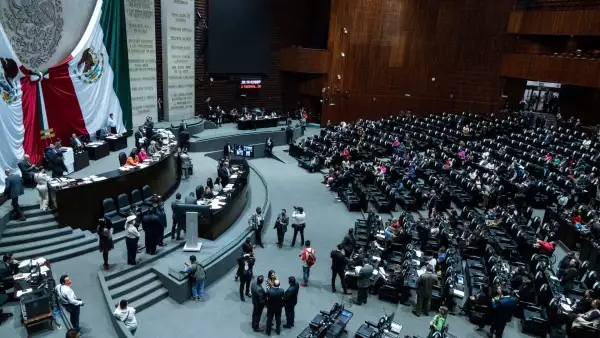 cámara de diputados